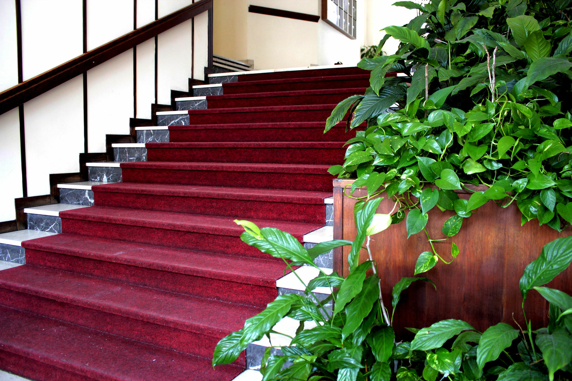 Casa Camilla City Πάδοβα Εξωτερικό φωτογραφία